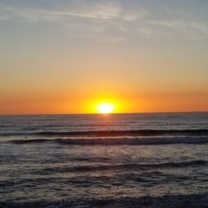 Meet your Posher, Ella